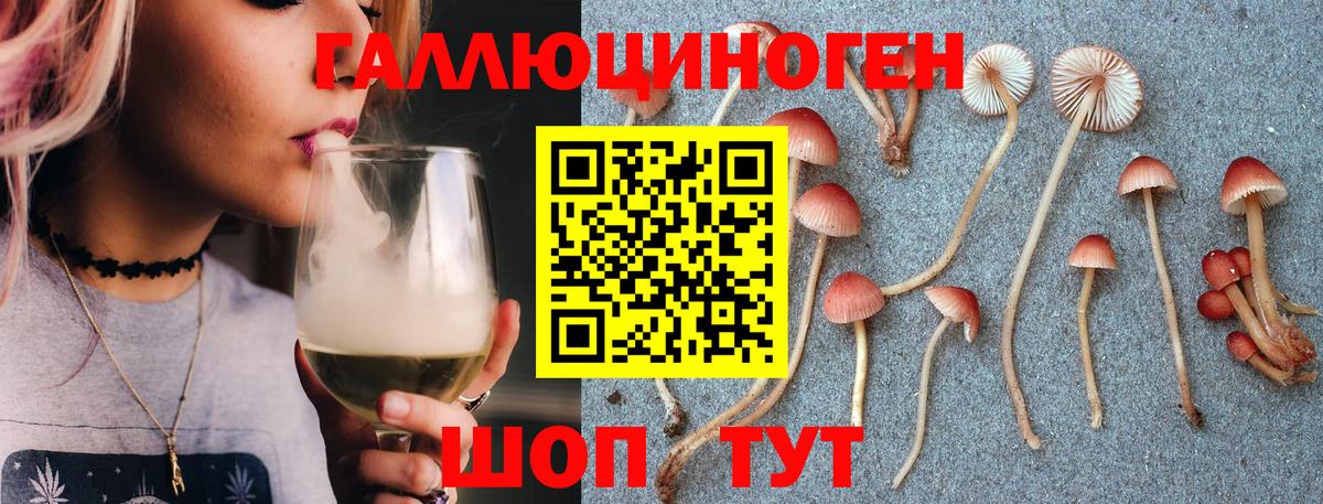 Галлюциногенные грибы ЛСД Алейск